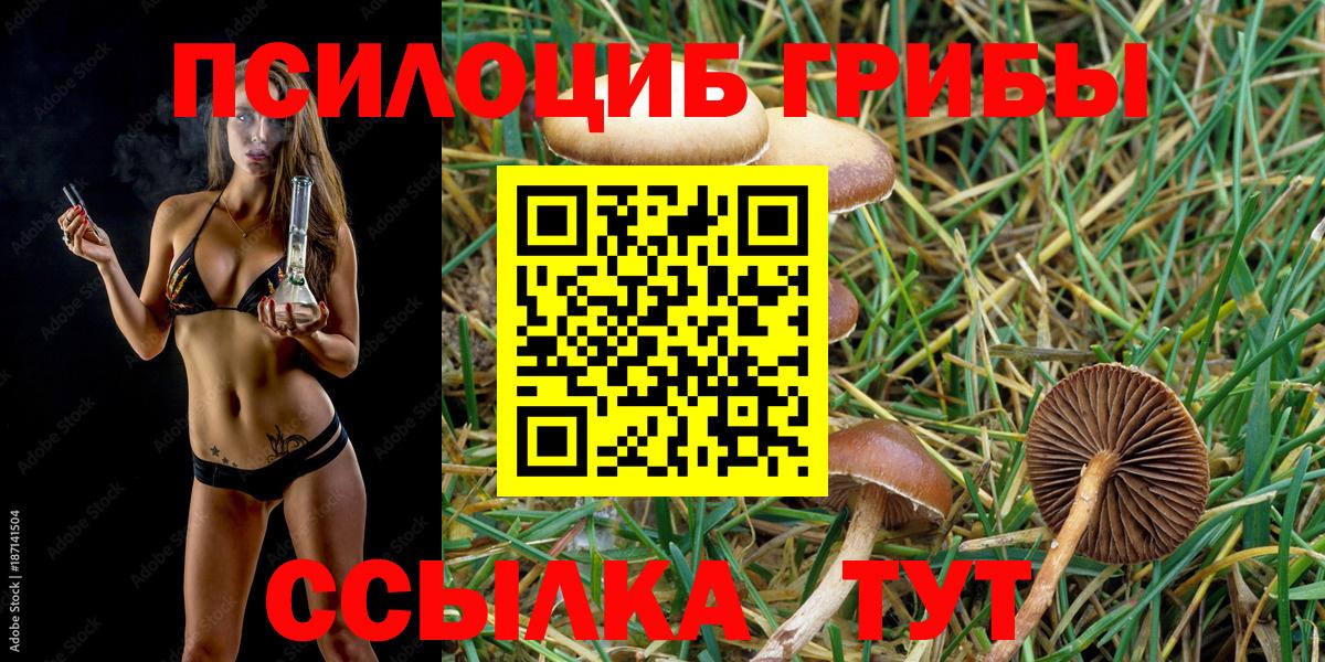 Смоленск  Галлюциногенные грибы MAGIC MUSHROOMS  Псилоцибиновые грибы ЛСД  Вход с VPN 